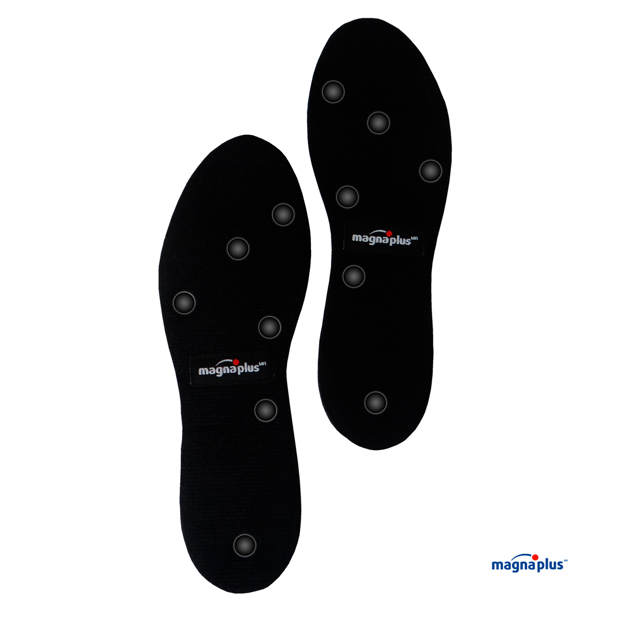 Plantillas Magnéticas