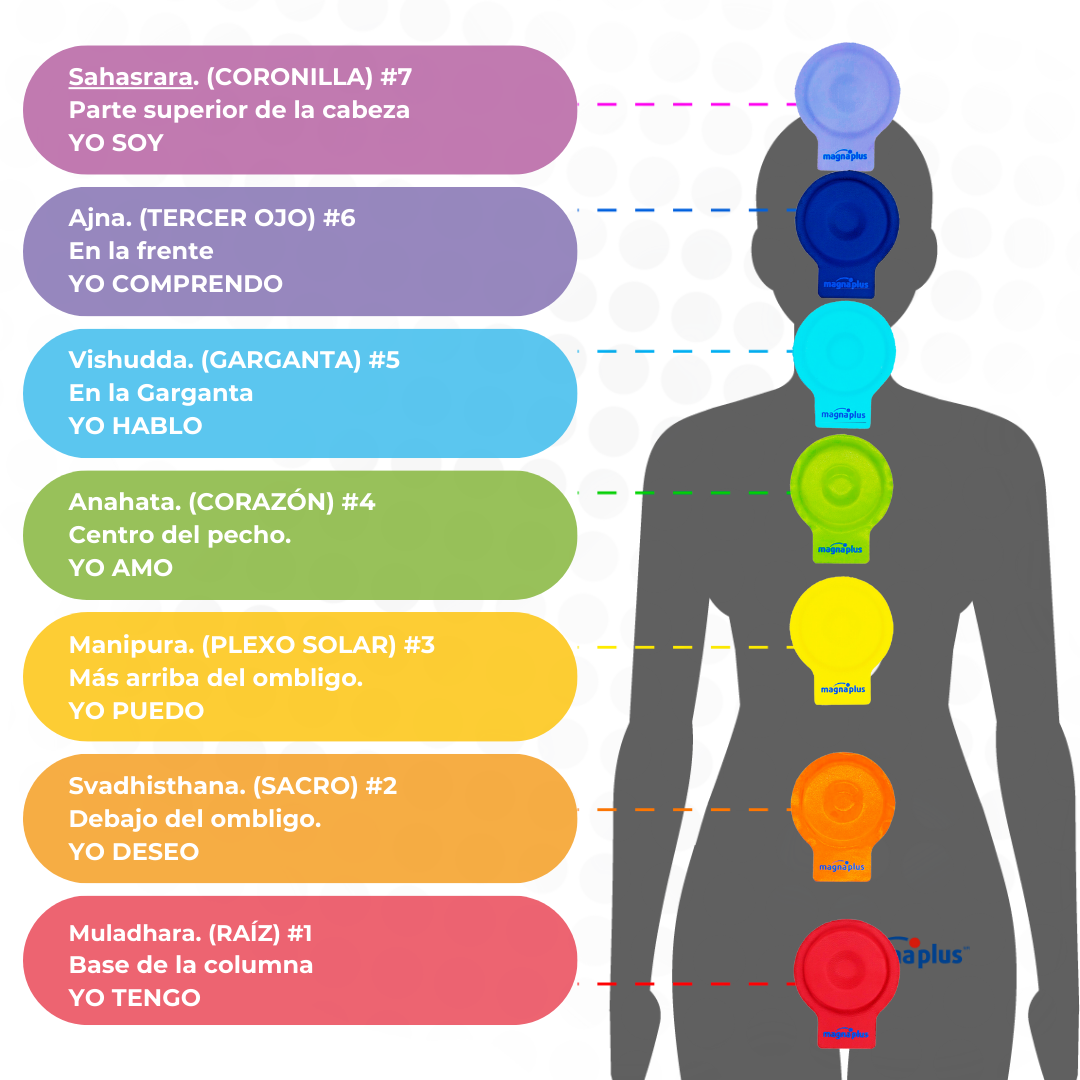 Imanes Anillo Ferrita Chakras