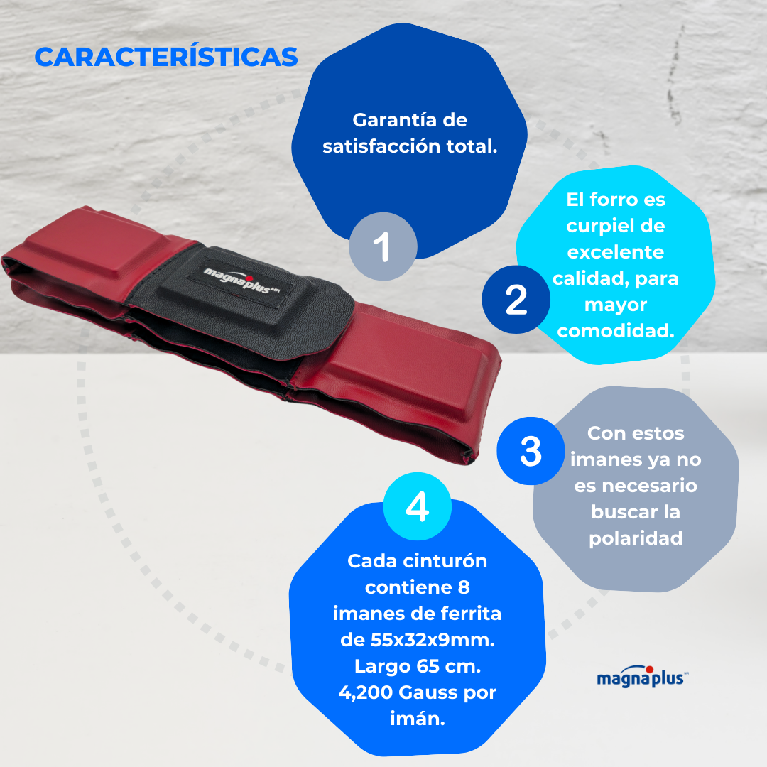 Cinturón con imanes de ferrita (Polaridad Alterna)