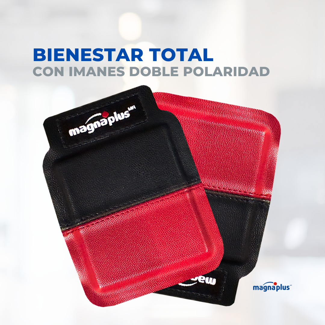 Imán doble polaridad N°3 -En 5 y 10 pzas.