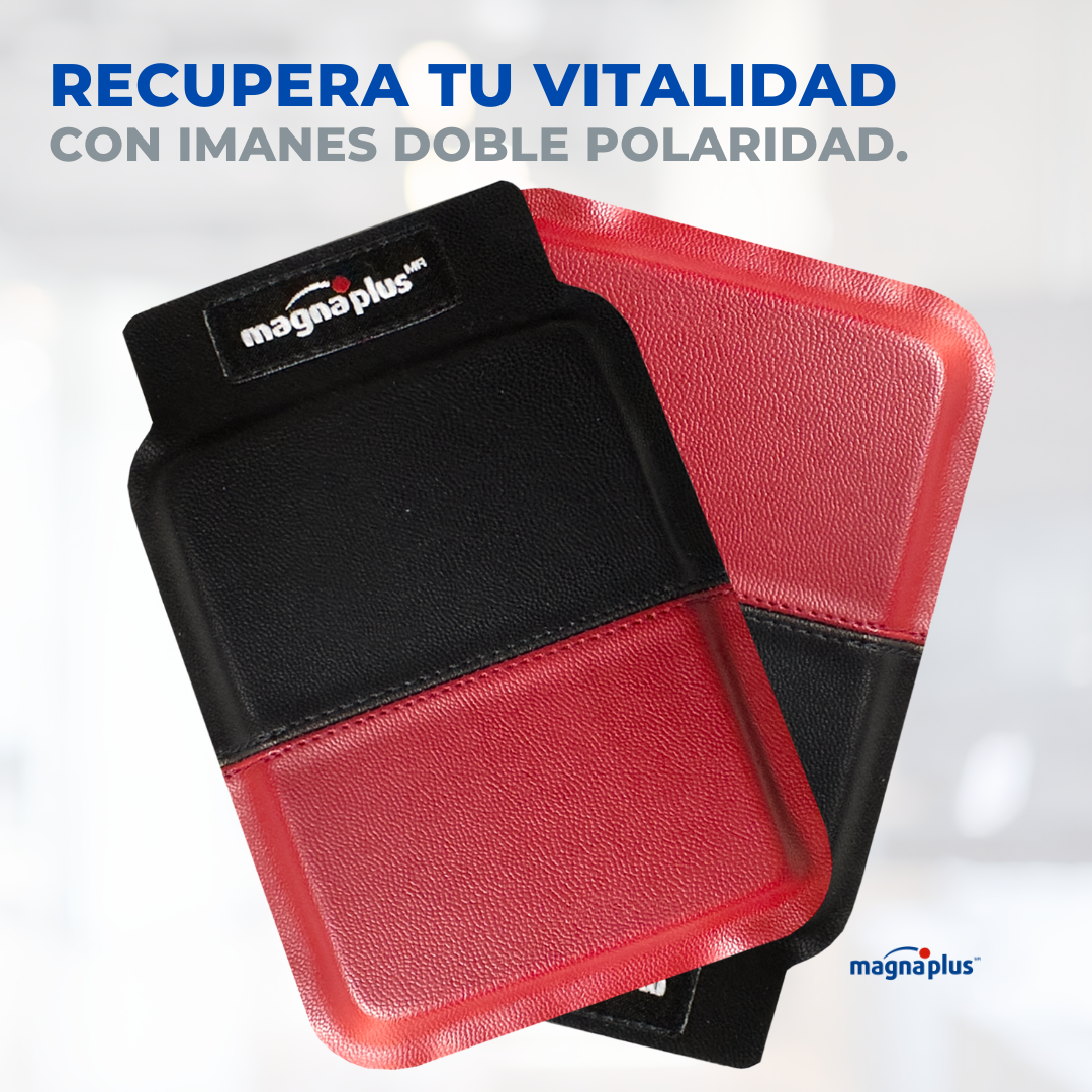 Imán doble polaridad N°5 - 2 pzas