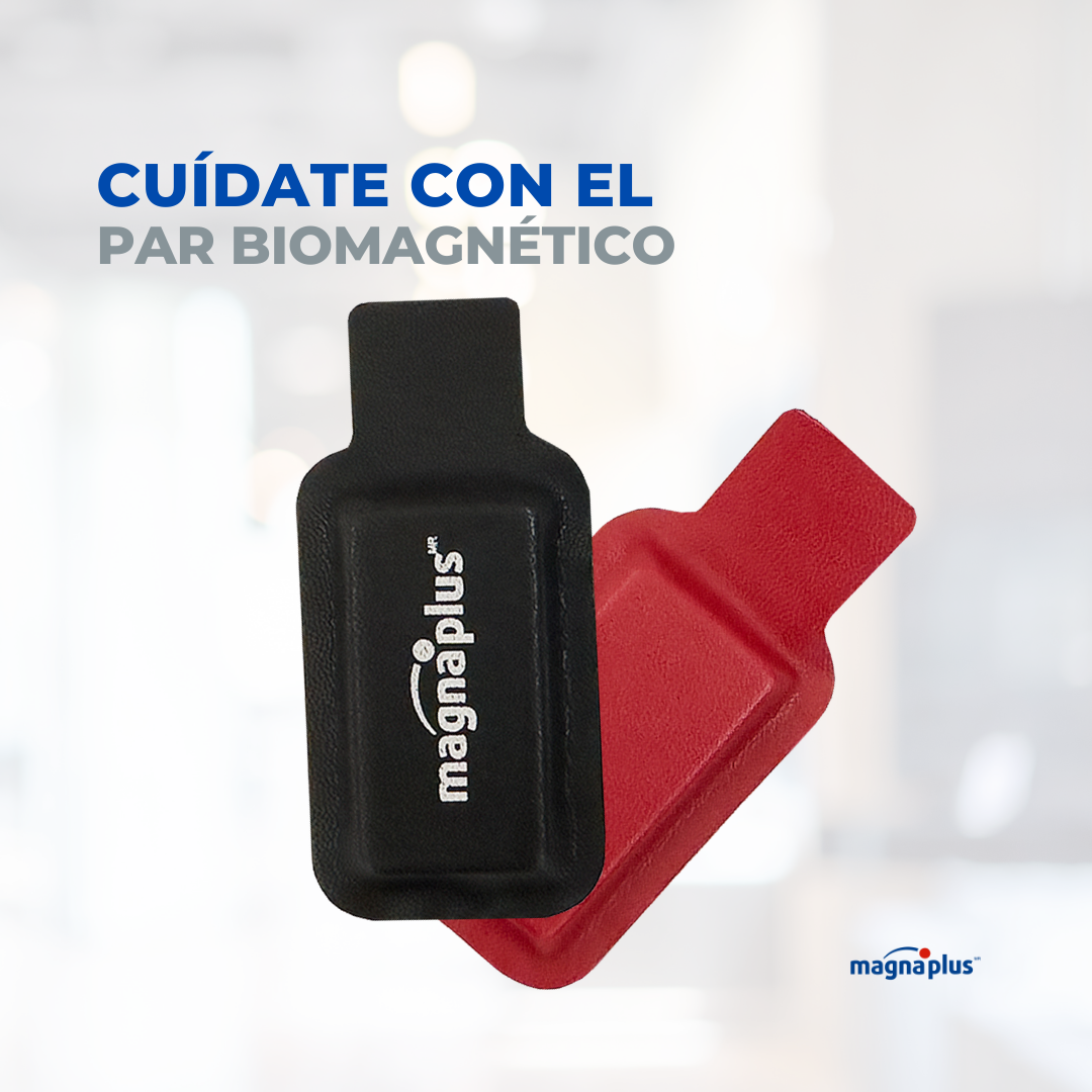 Imanes Ferrita Forrado 55x32x9 mm 10 pzas