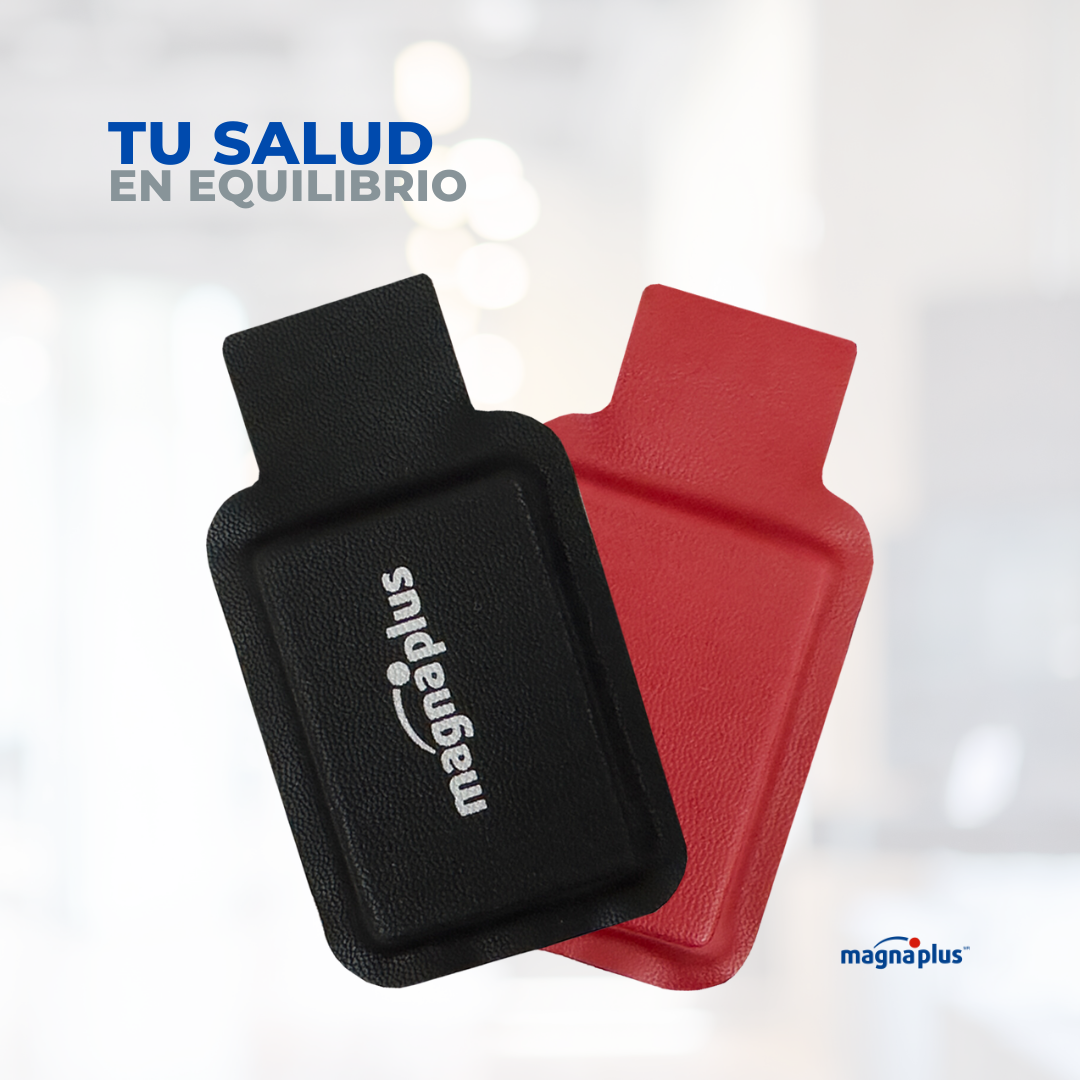 Imanes Ferrita Forrado 60x40x10 mm 10 pzas