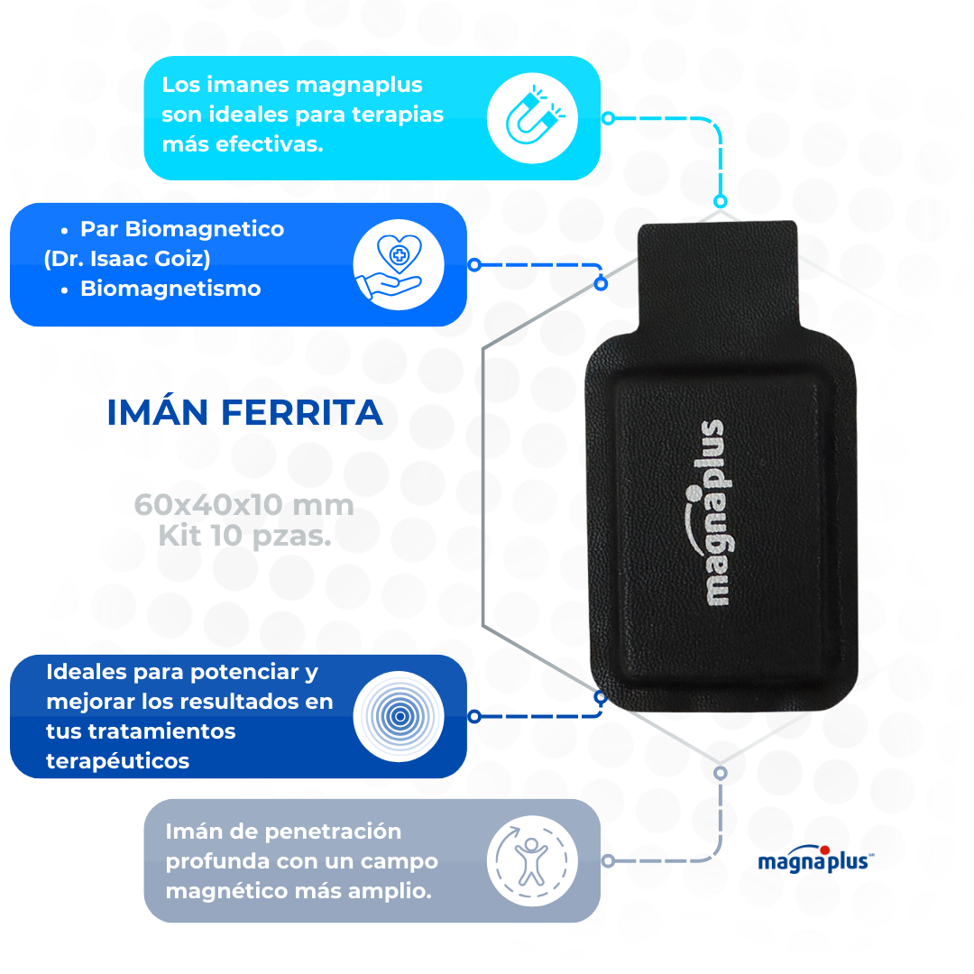 Imanes Ferrita Forrado 60x40x10 mm 10 pzas