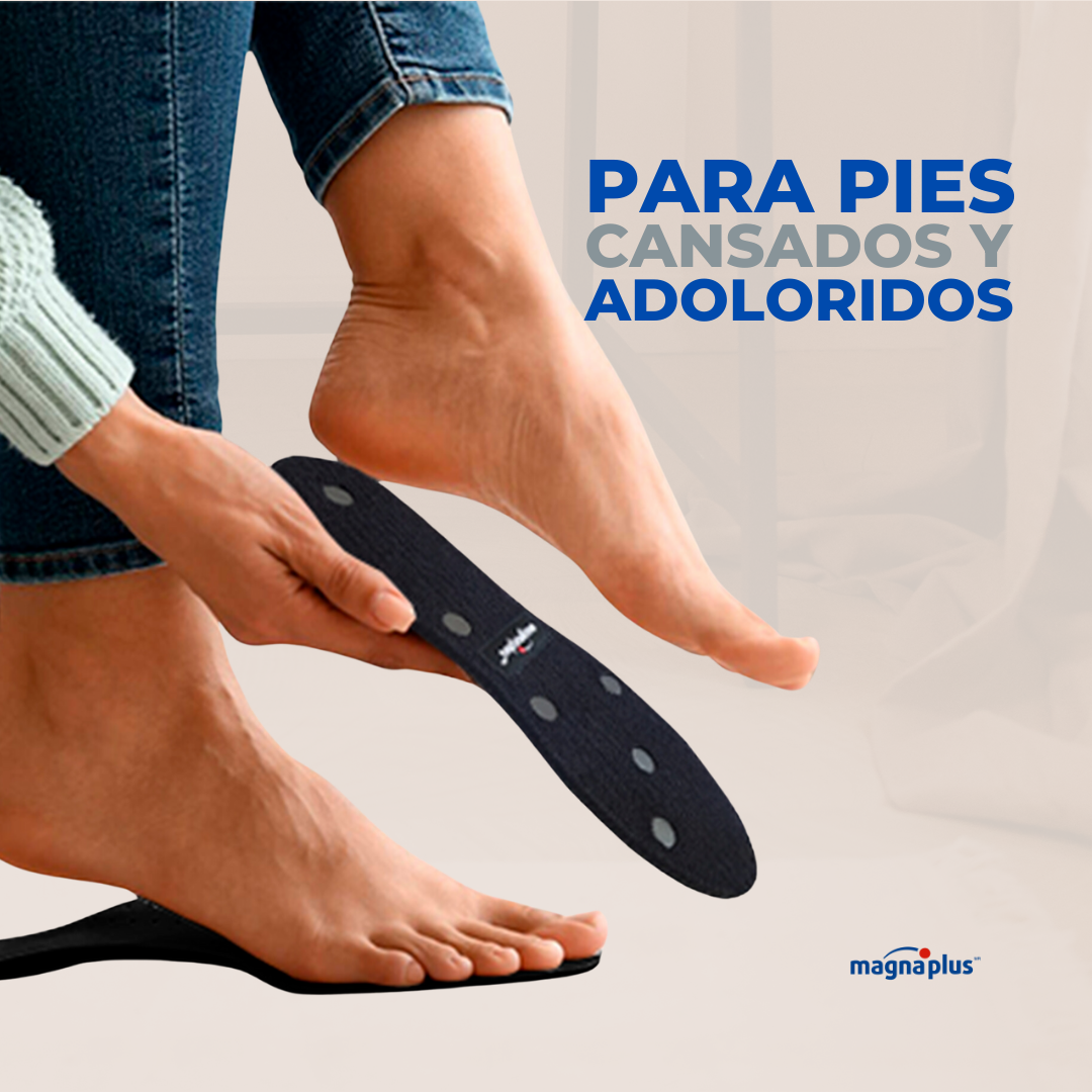 Plantillas Magnéticas