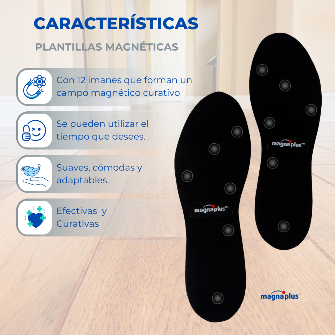 Plantillas Magnéticas