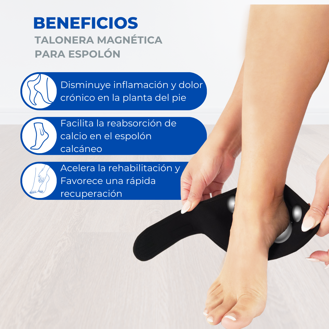 Talonera para Espolón Magnética