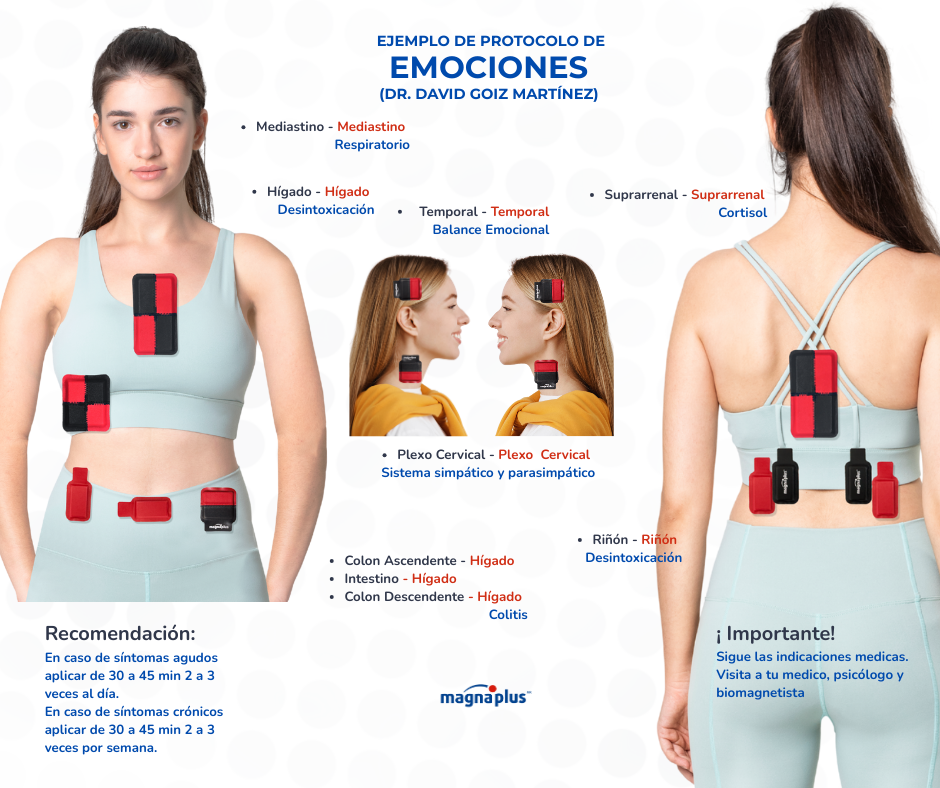 Nuevo Kit de Imanes de Ferrita con tapetes mosaicos con 12 piezas