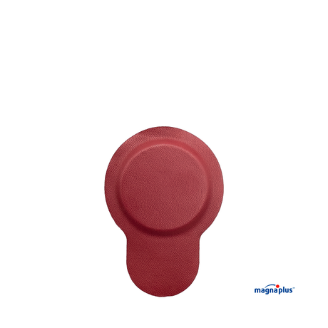 Imanes  Neodimio Forrado 46x4mm. En 2 y  10 pzas