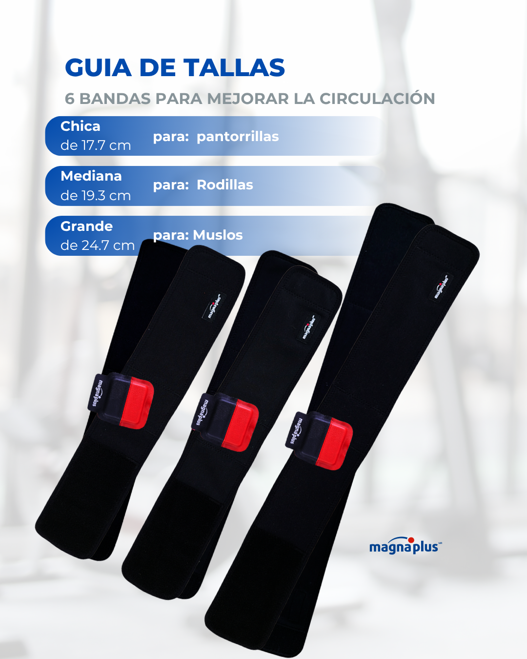 6 Bandas para mejorar la circulación con imanes  doble polaridad