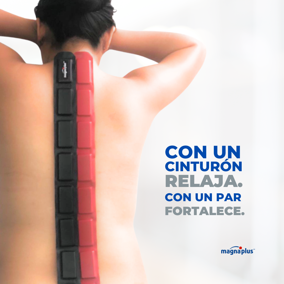 Cinturón Imanes de Ferrita   En 1 y 2 pzas