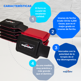Imanes Ferrita Forrado 55x32x9 mm 10 pzas