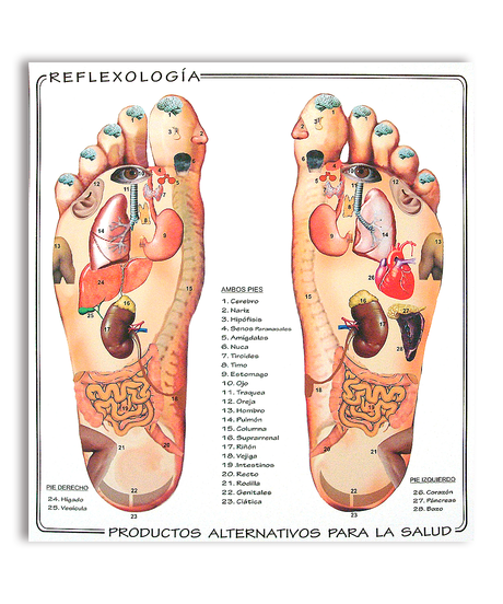 Lámina Reflexología de Pies - Magnaplus 