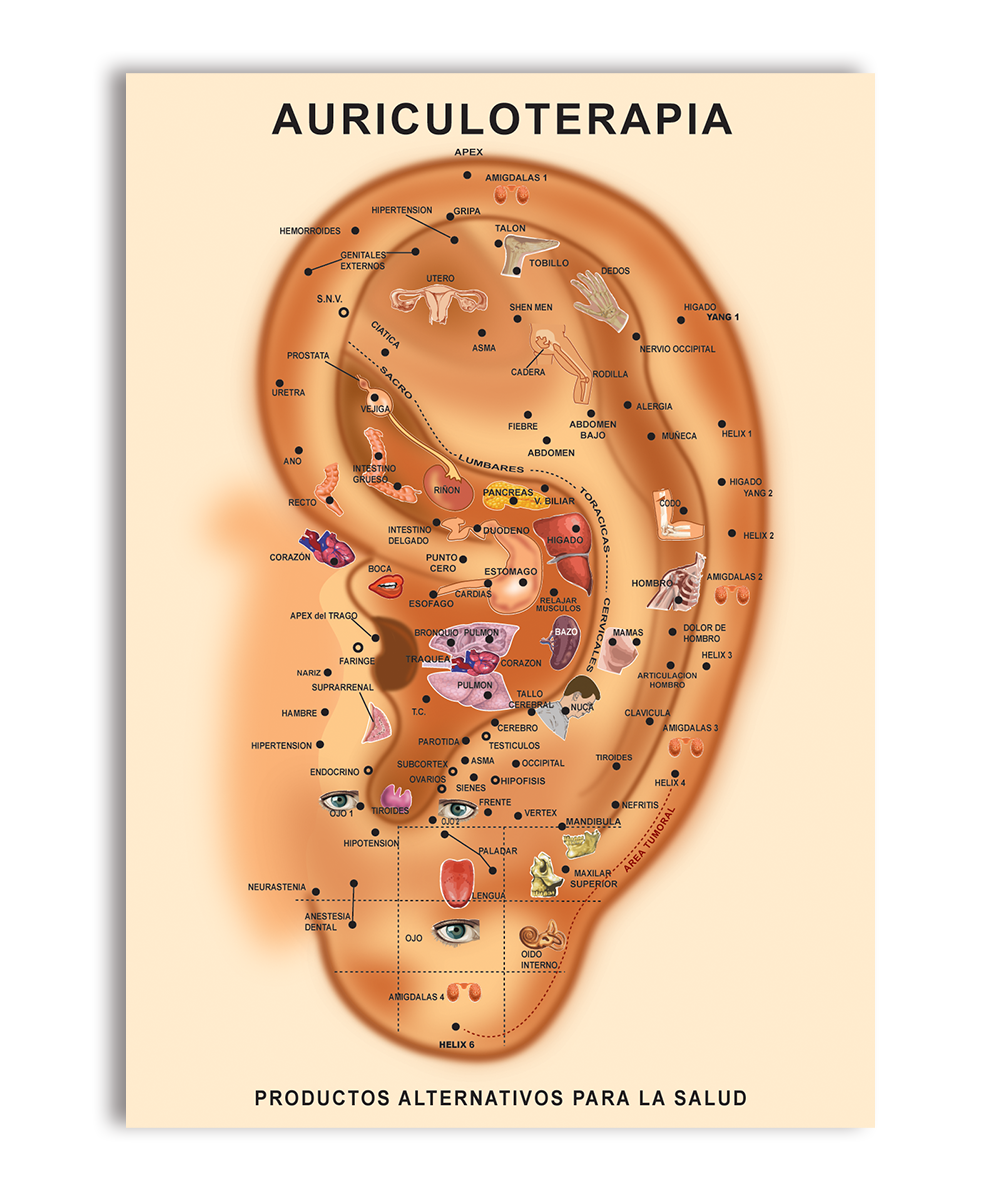 Poster Auricular 40x60cm. - Magnaplus 